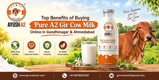Top Benefits of Buying Pure A2 Gir Cow Milk Online in Gandhinagar & Ahmedabad